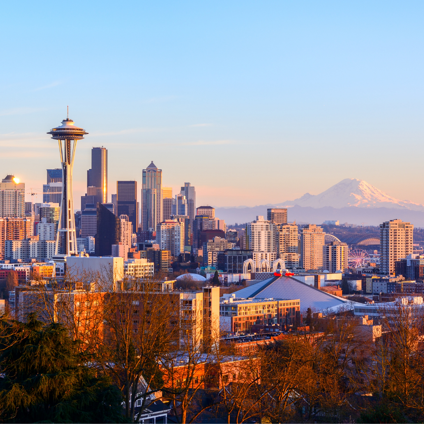 Untitled design (21)