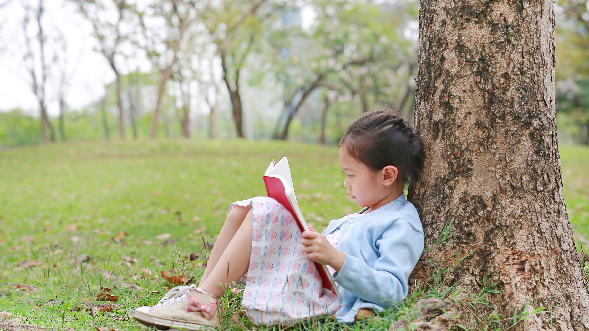 emotional wellness and coping for youth